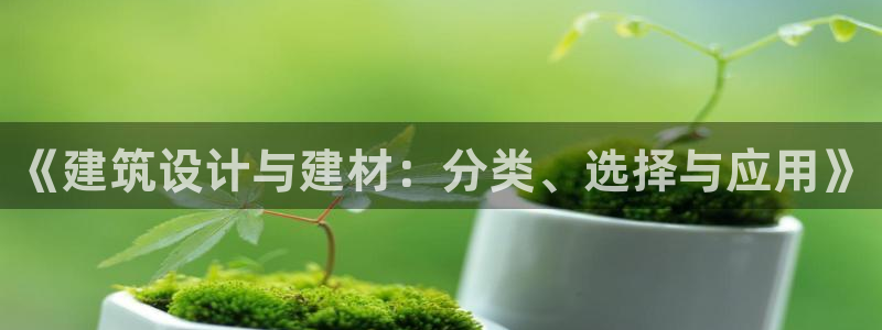 顺盈娱乐主管怎么样
