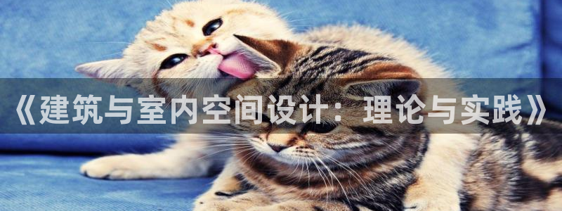 顺盈娱乐棋牌怎么样啊