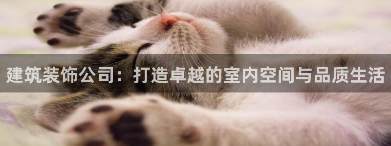 顺盈娱乐结究7276O