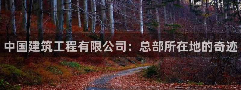 顺盈娱乐最高代理是谁啊