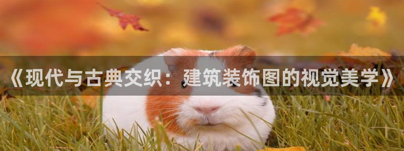 顺盈娱乐棋牌官网地址