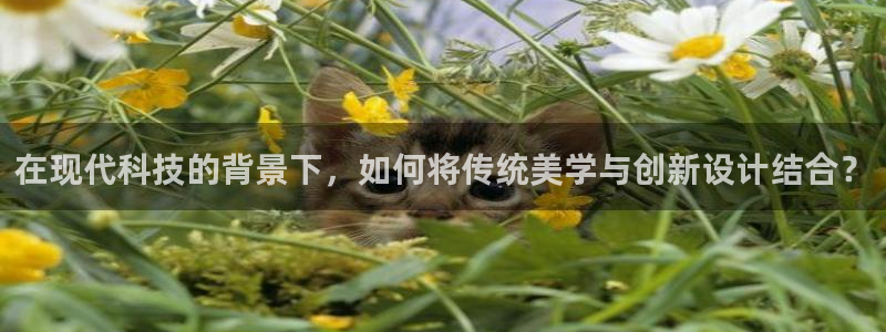 顺盈2娱乐滴qv382223