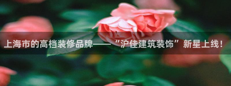 顺盈娱乐平台注册条件