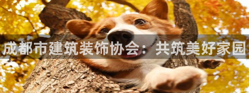 顺盈娱乐招商前原判官333OO