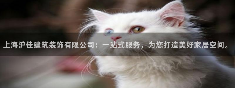 顺盈娱乐是什么福彩