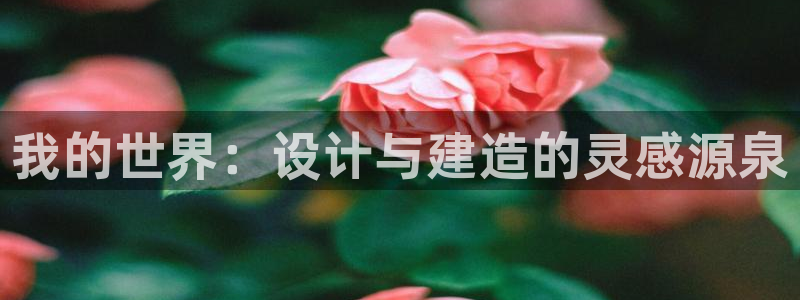 顺盈娱乐平台登录