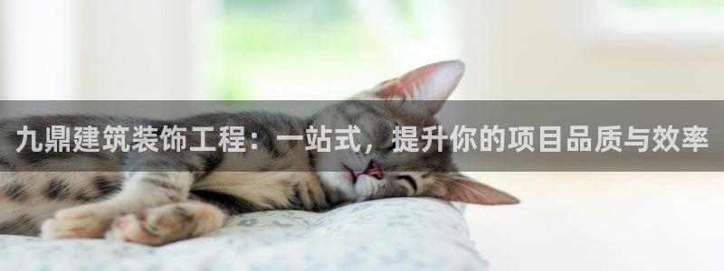 清远顺盈娱乐集团地址