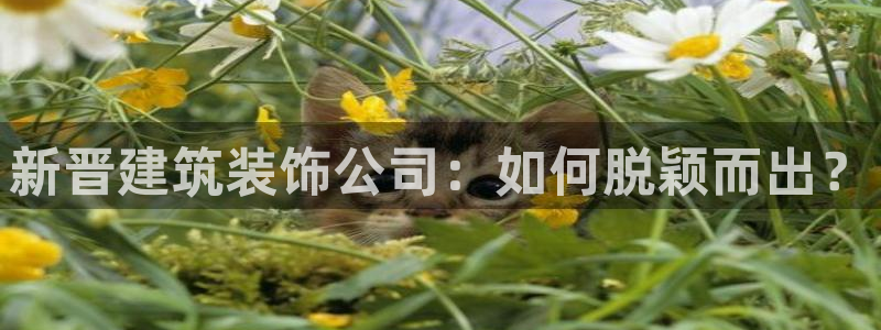 顺盈娱乐登录地址在哪儿