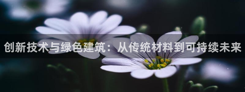 顺盈娱乐平台官网