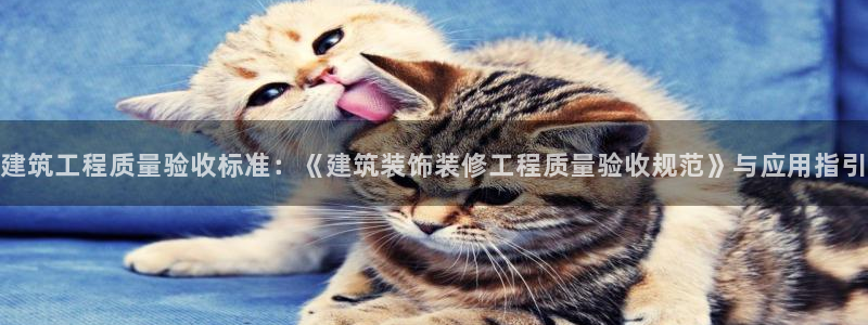 清远顺盈娱乐集团怎么样