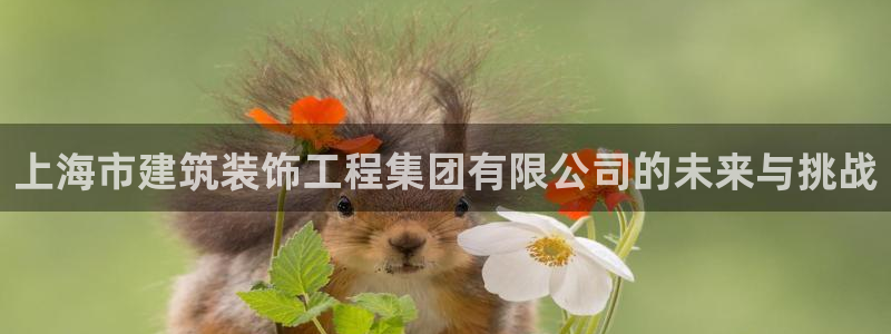 顺盈2娱乐游戏开发商