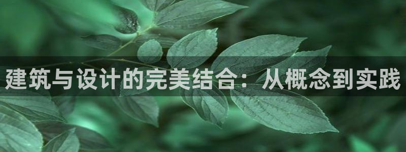 顺盈娱乐是什么