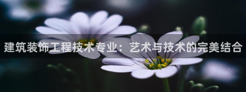 顺盈时代广场娱乐城