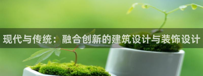 顺盈娱乐是什么