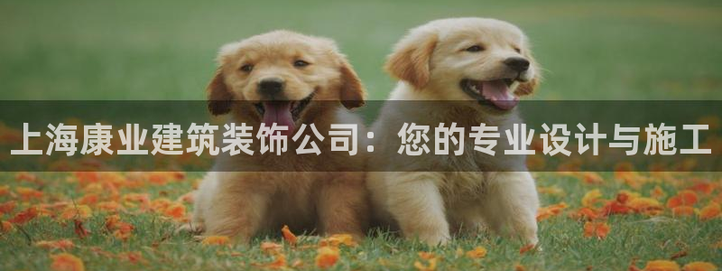 顺盈娱乐代理怎么样啊