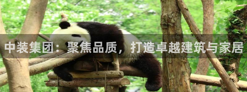 优盈娱乐耐顺63390