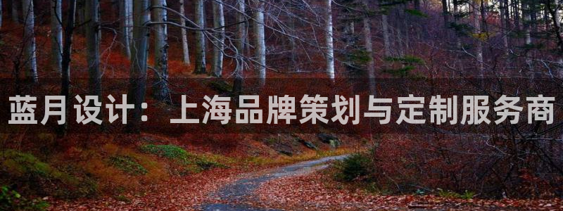 顺盈娱乐平台下载安装