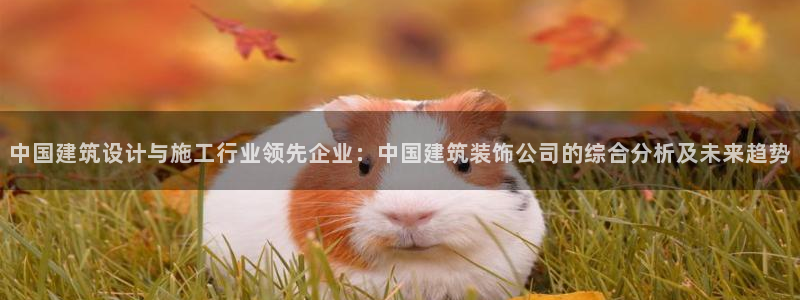 顺盈娱乐棋牌官网地址