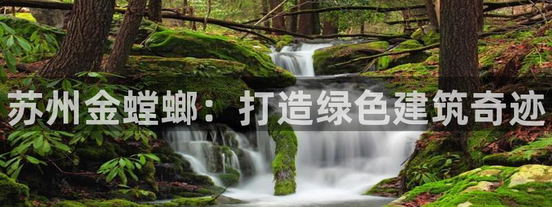 顺盈娱乐招商木判官333OO