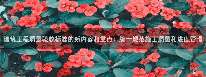 顺盈2娱乐主管啊判官333OO