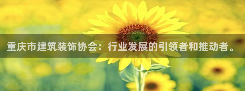 清远顺盈娱乐集团招聘吗