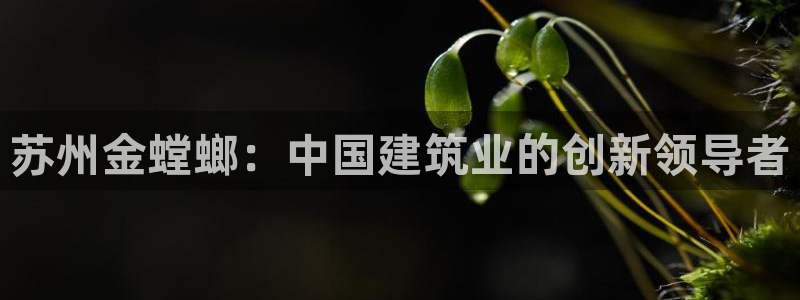 顺盈娱乐彩票官网下载