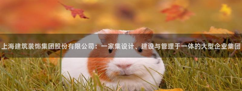 顺盈娱乐登录平台网址