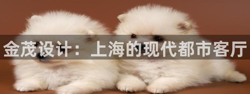 顺盈娱乐主管劳判官333OO