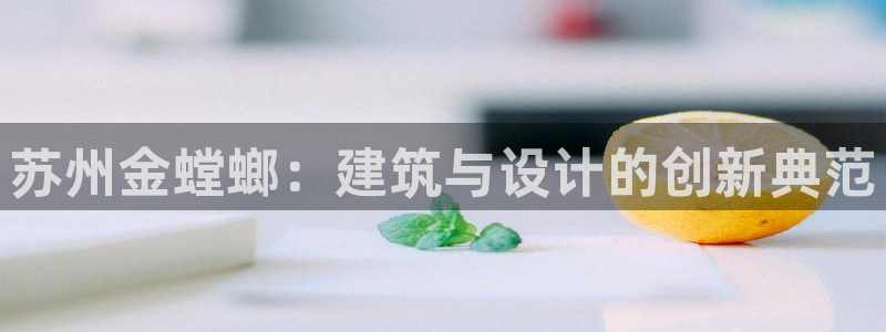 顺盈娱乐28是什么意思