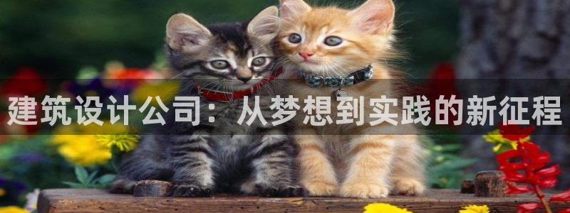 清远顺盈娱乐公司招聘