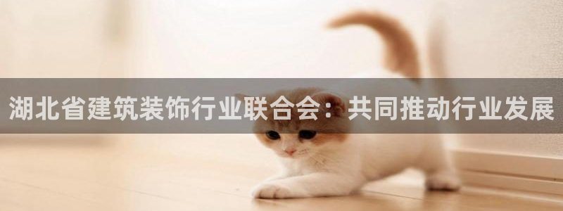 顺盈娱乐注册平台怎么样