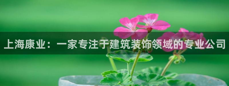 顺盈娱乐找382223