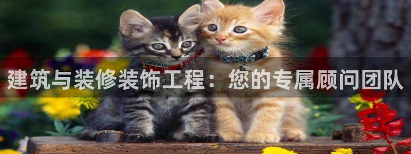 顺盈娱乐找382223