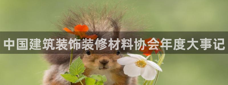 清远顺盈娱乐集团怎么样