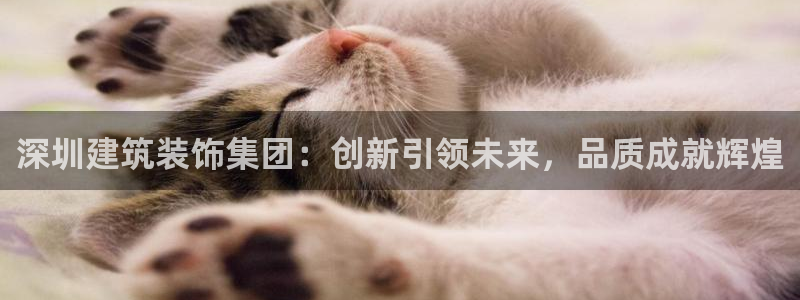 顺盈娱乐在线注册不了