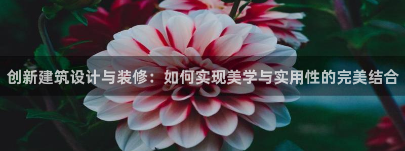 顺盈娱乐招商右原判官333OO