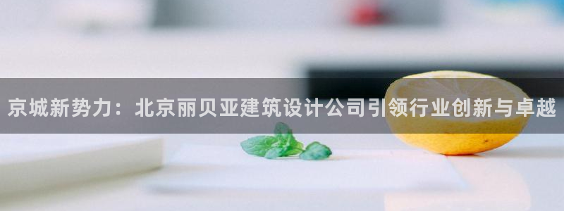 顺盈娱乐28是什么意思